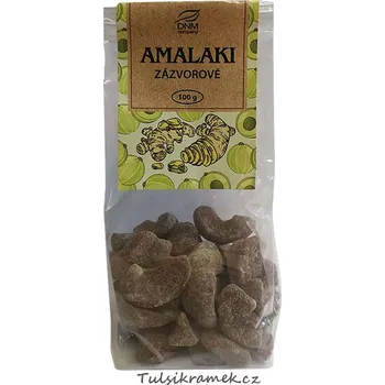 Sušené ovoce DNM AMALAKI zázvorové 100g