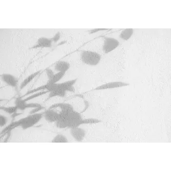 Plakát Plakát, Obraz - Bush leaves shadow over textured white, Anna Blazhuk