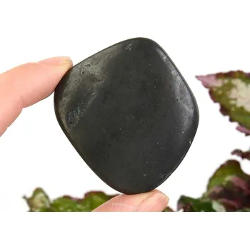 Přírodní kámen Hladký kámen šungit (Rusko 31g)
