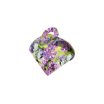 Nápoj LIRAN Taštička LEMON 5x2g zelený čaj s citronem