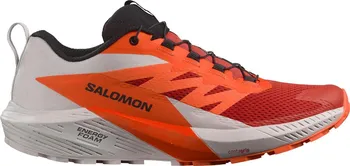 Pánská běžecká obuv Salomon Sense Ride 5 L47046200