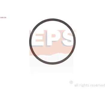Auto-moto Těsnění, termostat EPS 1.890.729