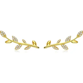 Náušnice Dámské stříbrné náušnice CORINNE Ag 925