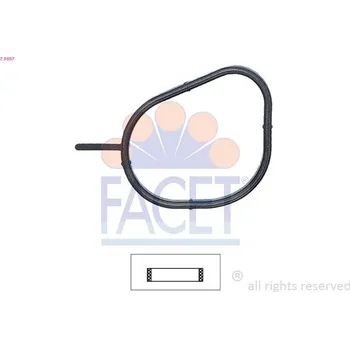 Těsnění motoru Těsnění, termostat FACET 7.9697