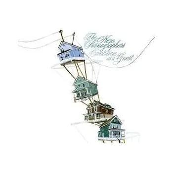 Zahraniční hudba LP The New Pornographers: Continue As A Guest 2023 Numbered Blue + White Vinyl Limited Edition