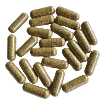 Kapsle Pelyněk - Černobýl nať, balení 120 ks