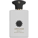Amouage Opus V: Woods Symphony parfémovaná voda unisex 100 ml