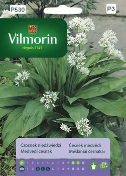 Semeno Vilmorin Premium česnek medvědí 0,4 g