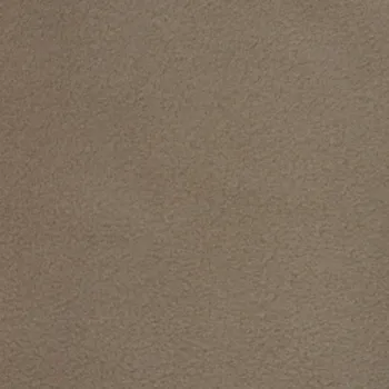 Polar fleece 290 g/m #178; béžová