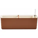 Plastia Berberis 39,5 cm