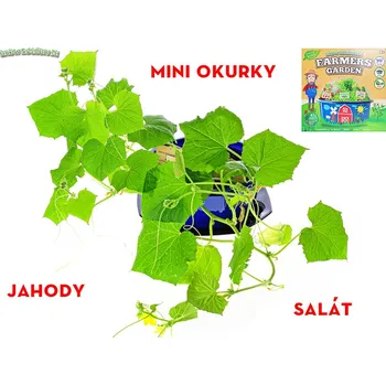 Houpací síť Mikro trading Grow&Decorate - Vypěstuj si bylinky - 3 druhy sazenic s doplňky