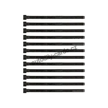 Těsnění motoru Sada šroubů pro hlavy válcu VICTOR REINZ (VR 14-35779-01)