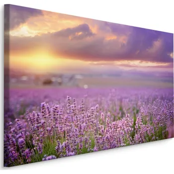 Obraz Plátno Krásná Levandulová Krajina 3D I. Varianta: 30x20