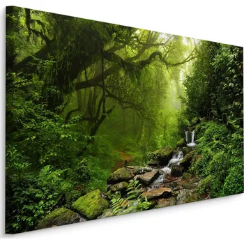 Plátno Subtropický Les V Nepálu Varianta: 30x20