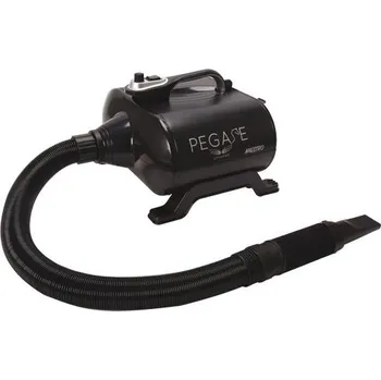 ChD Foukač Pegase MAESTRO 3000W