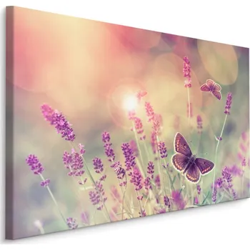 Obraz Plátno Motýli A Květy Levandule I. Varianta: 30x20