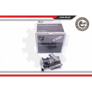 Ventil palivového systému SKV AGR-Ventil 14SKV173