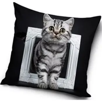 Povlečení Polštář kočka v rámečku (povlak)