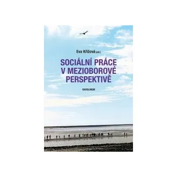 SOCIÁLNÍ PRÁCE V MEZIOBOROVÉ PERSPEKTIVĚ
