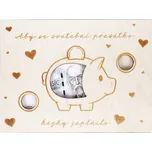 Velká kapsa na peníze - Prasátko