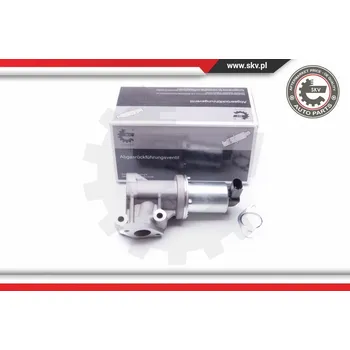 Ventil palivového systému SKV AGR-Ventil 14SKV105