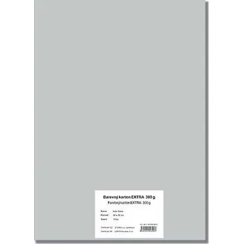 Karton Barevný karton Extra 300g 50x70cm, 10listů, stříbrný
