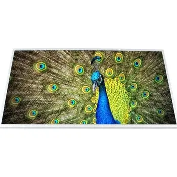 Náhradní displej pro notebook LCD ASUS 15,6 / X52 X52D X52F X52J X52N