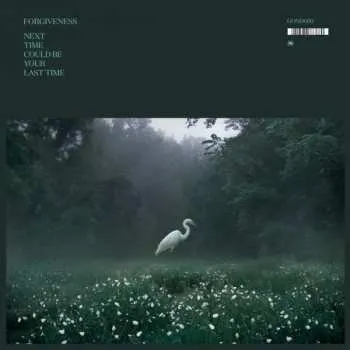 Zahraniční hudba LP Forgiveness: Next Time Could Be Your Last Time LTD | CLR 2022 Clear Vinyl Limited Edition