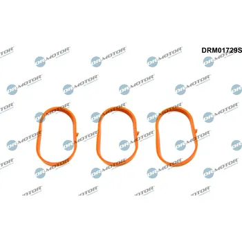 Těsnění motoru Sada těsnění, koleno sacího potrubí DR.MOTOR AUTOMOTIVE DRM01729S