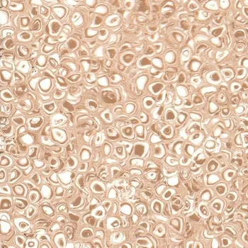 pvc podlaha PVC homogenní podlaha Grabo POLIS Camel, Šíře role Šíře role 2m