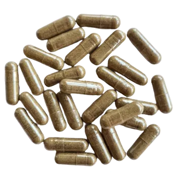 Kapsle Pupečník asijský - Gotu kola, balení 120 ks