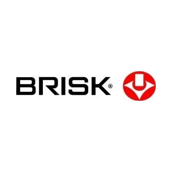 Zapalovací a žhavicí svíčka svíčka žhavící BRISK 01S507E