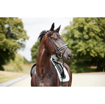 Věšák na sedlo a uzdečku Catago Uzdečka Shay CATAGO, black/white COB