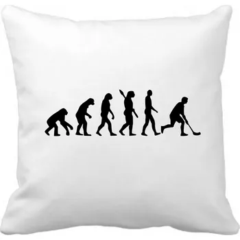 Dekorativní polštářek Fenomeno Polštářek - Evoluce florbal