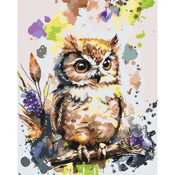 Malování podle čísel - Sovička s barevným pozadím Velikost: 30x40cm, Rámování: Pouze srolované plátno