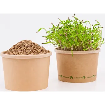 Fóliovník Tiny Greens Fenykl Fling - BIO semínka na klíčení a microgreens Množství: 50g