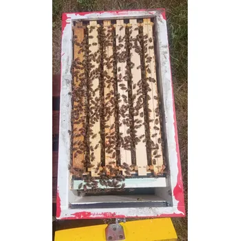 Oddělek pro rok 2026