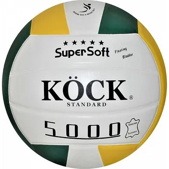 Fotbalový míč Míč volejbal STANDARD - L 5000 kožený