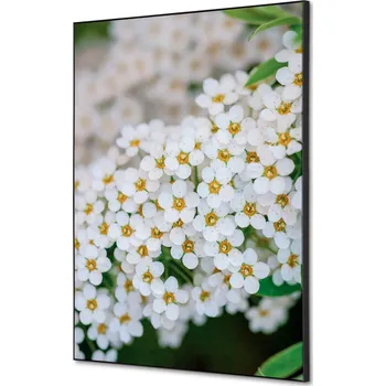 Značení Textilní dekorace na zeď A2 Bílé květiny Spirea