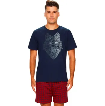 Pánské pyžamo Pánské pyžamo 42/5-41U/66B742 FABIO