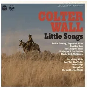 Zahraniční hudba CD Colter Wall: Little Songs 2023