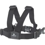 LittleLife Basic Toddler Reins černé