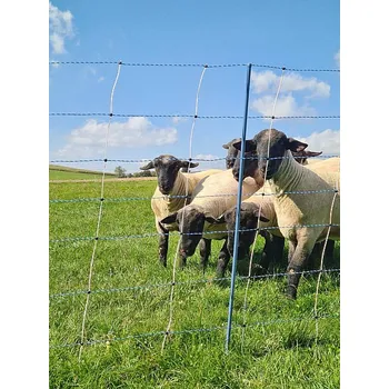 Ohradník Síť na ovce a proti vlkům TitanNet Premium Vario 122 cm 50 m
