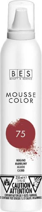 Bes Beauty & Science Mousse Color 200 ml 75 Mahogany od 285 Kč - Zbozi.cz