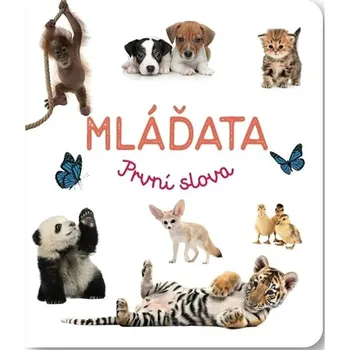 Hračka pro nejmenší Mláďata První slova Kniha