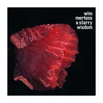 Zahraniční hudba CD Various: A Starry Wisdom 2015