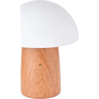 Čtecí lampička Stmívatelná stolní lampa v přírodní barvě se skleněným stínidlem (výška 32 cm) Alice – Gingko ID_1527930