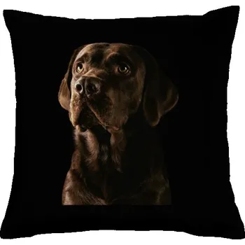 Pánská móda Polštář bavlněný s potiskem Čokoláda Labrador