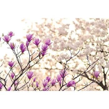 Obraz Obraz na plátně CAN 60150 květy 150x60 cm