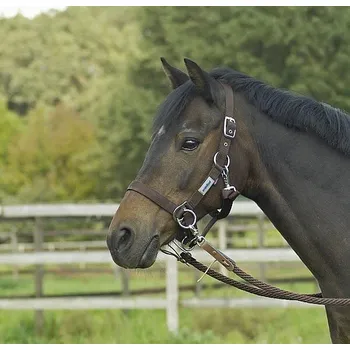 Jezdecká ohlávka pro koně - Busse Riding černá s kroužky vel. pony